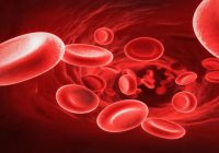 anemia-falciforme-hemoterapia