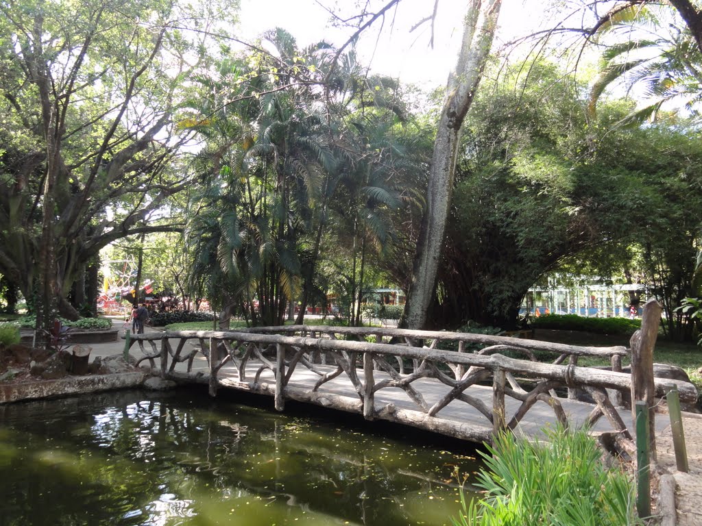 Parque Municipal Américo Renné Giannetti_BH_2017